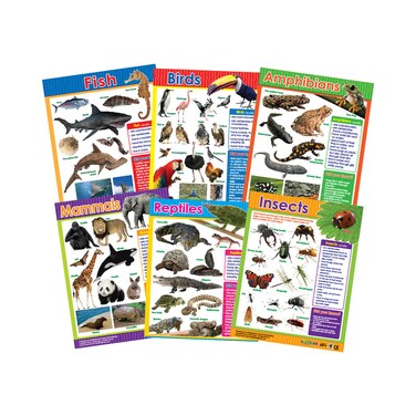 Animal Classification (6 Wall Charts) - Educational Wall Chart Pack in English
