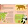 Sassi Endangered Animals   Illustrated Educational Book for Kids Ages 4+   Wildlife Conservation, Fun Facts &amp; Learning Activities