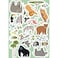 Sassi Junior My First Activities Arts &amp; Crafts &ndash; Animals Activity Book for Kids &ndash; 16‑Page Coloring &amp; Craft Set with 100 Stickers, 200 Transfers &amp; Tracing Pen &ndash; Creative Play for Ages 4+