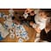 Sassi Memo Animals to Save Polar Ice   Memory Matching Card Game for Kids Ages 3+ with 36 Polar Animal Cards   Educational &amp; Eco‑Friendly Theme