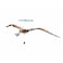 Sassi The Ultimate Dinosaurs Atlas &ndash; Hardcover Illustrated Dinosaur Encyclopedia for Kids   Big Educational Atlas with Maps, Facts &amp; Activities