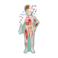 Sassi Travel Learn and Explore &ndash; The Human Body   Portable Educational Playset for Kids   Hands‑On Anatomy Learning