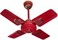 REEF 24-Inch Ceiling Fan with 4 Blades, Red and Gold Finish, Compact Design for Small Rooms