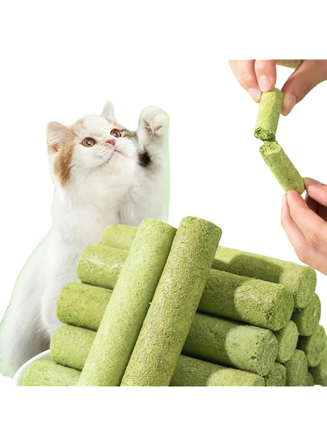 Buy Cat Grass Chew Stick 380g, Edible Cat Teeth Cleaner Grinding Chew ...