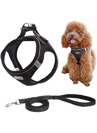 DELFINO Step-in Air Dog Harness and Leash No Pull, Reflective and Breathable Pet Harness, Adjustable Comfortable Soft Padded Vest Harness Easy Control for Puppy Small Medium Dogs Cats, Black M