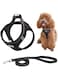 DELFINO Step-in Air Dog Harness and Leash No Pull, Reflective and Breathable Pet Harness, Adjustable Comfortable Soft Padded Vest Harness Easy Control for Puppy Small Medium Dogs Cats, Black M