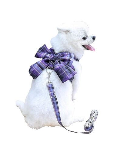 2Pcs Plaid Dog Harness &amp; Leash Set Bow Dog Harness Vest Walking Training Easy Control Dog Leash for Small Medium Girls Dogs Cats Puppy (Purple, XXL)