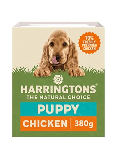 Harringtons Chicken &amp; Potato Puppy Wet Food 380G