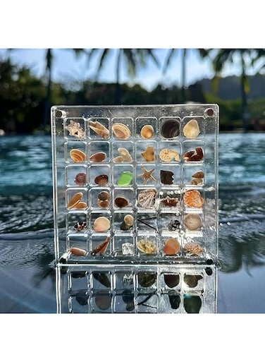 LOPOTION Magnetic shells, jewellery acrylic display box, shell organiser display box decorative shells starfish jewellery, small craft organiser, grid stackable grid holder container decorative