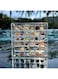 LOPOTION Magnetic shells, jewellery acrylic display box, shell organiser display box decorative shells starfish jewellery, small craft organiser, grid stackable grid holder container decorative