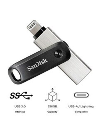 iXpAnd Flash Drive Go For iPhone And iPad 256 GB