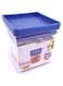 Storage Container 700ml Airtight Food Storage Jar for Kitchen Pantry and Meal Prep BPA Free Plastic with Easy Lock Lid Perfect for Dry Goods Snacks and Organizing Your Home