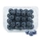 Blueberry Prepack