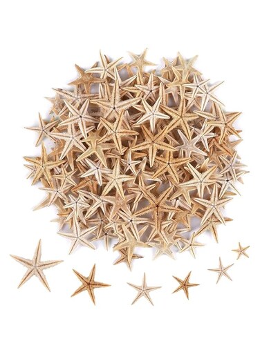 YHRY 100 Pcs Small Starfish Star Sea Shell Beach for Craft, 0.4"-1.9"Starfish, Easily Be Spray Painted, Full of Festival Atmosphere, for Wedding Decor, Beach Theme Party, Home Decoration