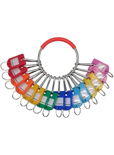 LABEN Portable Metal Ring Key Organizer with 16 Spring Hooks &amp; Key Tags with Ring and Label Window, Multicolored, L