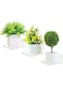 Bigfety Small Adhesive Wall Shelves, 3-Ledges, Acrylic Display Shelf Flexible Use of Wall Space