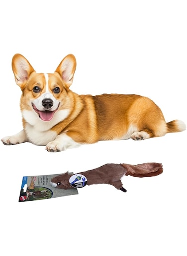 SPOT Ethical 5735 Skinneeez Plus-Squirrel Stuffing-Less Dog Toy, 15-Inch