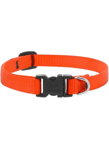 Lupine Pet Basic Adjustable Collar 1/2 8"-12" Orange, 21-30cm