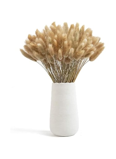 Homarket Rabbit Tail Grass Dried Flower Bouquet 60 Pcs Natural Wedding Pampas Grass, Bunny Tail Rabbit Tail Grass for Home Wedding Decor