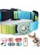Azonee AirTag Dog Collar, Padded Apple Air Tag Dog Collar, Adjustable Air Tag Accessories Pet Collar, Nylon Pet Collars for Large Dogs, Heavy Duty Dog Collar with AirTag Holder Case (Dog M, Green)
