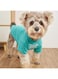 HipGirl Cute Dog Clothes,Dog T Shirt for Medium Dogs.Dog Clothes for Small Dogs Girl Boy,Puppy.Breathable Soft Dog Costume Pet Dogs Cats,Pet Pullover Jumper,Cat Clothes (S-(4~8lb), Chest~14", Aqua)