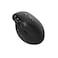 Green Lion Smart OLED Vertical Mouse, 1200-4000 DPI, 5.1 Bluetooth &amp; 2.4G Wireless, 500mAh Battery, 3 Million Clicks, OLED Display, Multi-Function Knob, 65 Hours Working Time - Black

