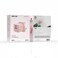 Green Lion Reva Dual Port Wall Charger, GaN Technology, PD 20W Type-C, USB-A 18W, 22W PPS Output, Built-in Safeguard, Multi Device Charging, Flame-Retardant, 100-240V Input &ndash; Pink