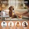AIRROBO PG50 5 in 1 Pet Grooming Kit with Vacuum 11000Pa Suction Power Large 2.5L Dust Cup Multifunctional Grooming Tools and Advanced Filtration System