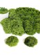 OSHIMA 100g Artificial Moss for Potted Plants, Fake Grass Faux Garden, False Moss Decor, DIY Green Artificial Moss Artificial Moss for Crafts Craft Moss for Wall Moss Filamentous Decor for Parties