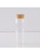 Box Borosilicate Water Bottle With Wooden Lid Clear