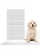 Buddy Day Dog Training Disposable Dog Pee Pads, Ultra Absorbent &amp; Leak-Proof Pet Underpads, Dry Quickly Pee Pad for Dog Cats Rabbits or Other House Training Pets (45 x 60 Medium, 50, Pads)