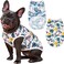 2 Pack Dog Shirt - Hawaiian Shirt for Dogs - Cooling Shirt for Dogs - Cat Shirt Dog Summer Clothes Puppy Clothes,Soft &amp; Breathable Mesh Dog Clothes Beach Seaside Puppy Shirt for Dogs &amp; Cats,M