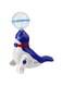 Fitto New Top Ball Sea Lion Dolphin Electric Popular Toys Children's Universal Rotating Light Music Projection Dancing Children's Toys