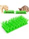 TERRIFI Silicone Grass Mat for Cats and Dogs, Interactive Silicone Cat Grass Slow Feeder Food Mat, Indoor Cat Foraging Mat Pad, Slow Food Mat for Cats and Dogs, Pet Food Toy