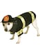 Rubie's unisex adult Fire Fighter Party Supplies, As Shown, Small US