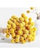 20 Stems Natural Craspedia Dried FlowersYellow Billy Buttons Balls Bouquet, Bundles Natural Dried Flowers, （Large） Diameter Approximate1-1/2In for Home Decor, Photo Props,DIY Flower Arrangements
