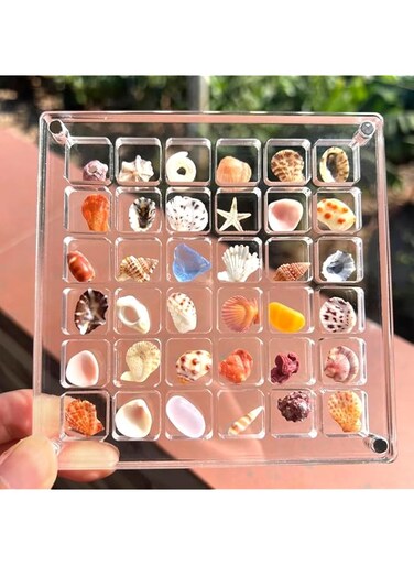 Arshany Acrylic Magnetic Seashell Display Box, 36 Grids Sea Shell Storage Display Case Small Craft Organizers, Clear Organizer Box Decorative Case Container for Storing and Showcasing Shells, Starfish