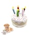 Khazna Pet Dog Birthday Cake, Soft Plush with Rope Handles in Fun Happy Bright Colours Candles Durable Dog Chew &amp; Cuddly Interactive Cake for Puppy Small to Medium Dog