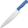 Master 10 Inch Stainless Steel Professional Chef Knife (Blue)   NSF Certified for Fish/Seafood Prep