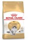 Feline Breed Nutrition Norwegian Forest Cat Adult 2 KG