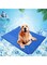 BeOne Pet Dog Cat Summer Cool Mat, Pet Self Cooling Gel Pad, Pressure Activated, Anti-inflammatory, 100% Safe Non-Toxic Materials, for All Dogs, Cats with Pet Toy Ball (L,35.43x19.69in/90x50cm)
