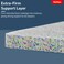 Kurlon Executive Pocket Spring Mattress, Medium Firm Feel, Adaptive Pocket Springs, Soft Comfort Foam Top, Spinal Alignment Support, Motion-Free Sleep, 5-Year Warranty, Queen Size 200x150xx25 cm