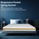 Sleepwell Executive Pocket Spring Mattress, Medium Firm, Plush Comfort, Spinal Support, Zero Partner Disturbance, Durable Foam, Premium Quality, 5-Years Warranty, Queen Size   200x160x25 cm