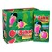 Big Babol Watermelon Filifolly Cotton Candy Bubble Gum 11g x Pack of 12