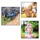 Ametoys-Instant Water Balloons Colorful Rapid Filled Toy Color May Vary