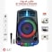 DLC-32297  20 Watt Portable Speaker with Microphone and Remote Control - Black