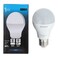 Sky Led Eco Bulb B22 240 V