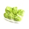 Little Gem Lettuce 6 Pieces