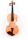 Mike Music 4/4 Violin with Hard Case, Shoulder Rest, Bow, Rosin (4/4 Violin, orange)