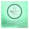 Johnsons Antibacterial Mint Hand Wash 500 ml